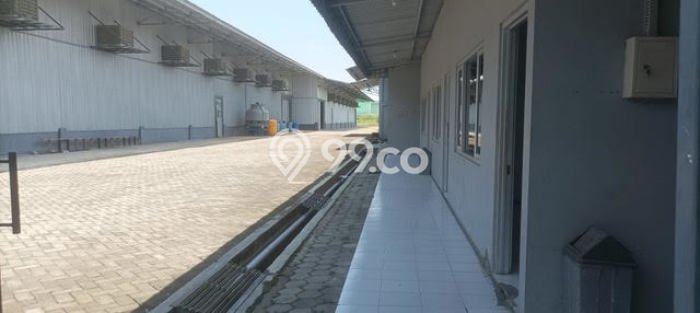 Unit Pabrik Strategis di Paron, Ngawi Potensi Bisnis Besar Unit Pabrik Strategis di Paron, Ngawi Potensi Bisnis Besar
