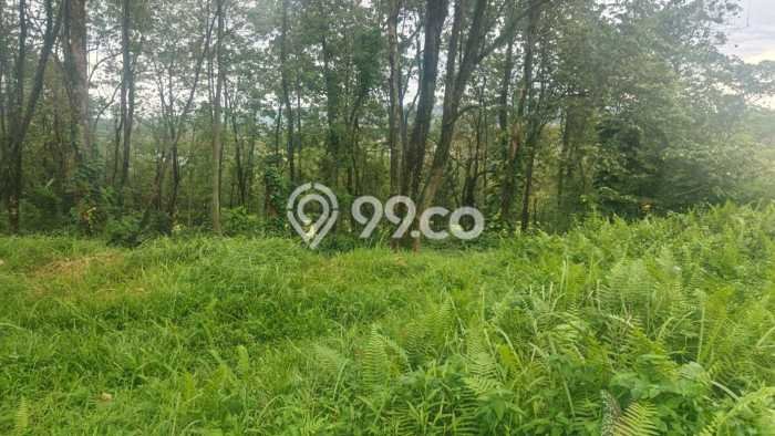 Tanah Kavling Dijual di Bogor dengan Spesifikasi 630m2 Tanah Kavling Dijual di Bogor dengan Spesifikasi 630m2