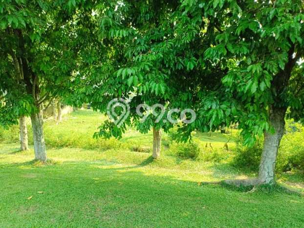 Tanah Kavling Dijual di Bogor dengan Spesifikasi 630m2 Tanah Kavling Dijual di Bogor dengan Spesifikasi 630m2