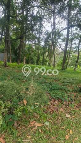 Tanah Siap Bangun Dijual di Bogor Punya Luas 507m2 Tanah Siap Bangun Dijual di Bogor Punya Luas 507m2