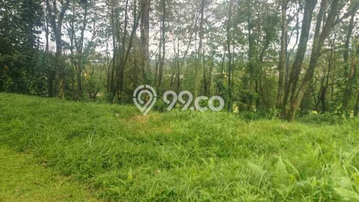 Tanah Kavling Dijual di Bogor dengan Spesifikasi 630m2 Tanah Kavling Dijual di Bogor dengan Spesifikasi 630m2