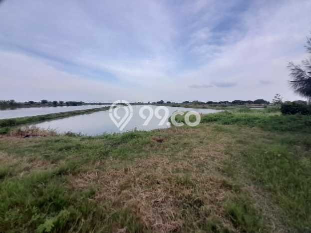 Tanah Dijual Lokasi Bungah, Gresik Luas 21000m2 Legalitas Aman Tanah Dijual Lokasi Bungah, Gresik Luas 21000m2 Legalitas Aman