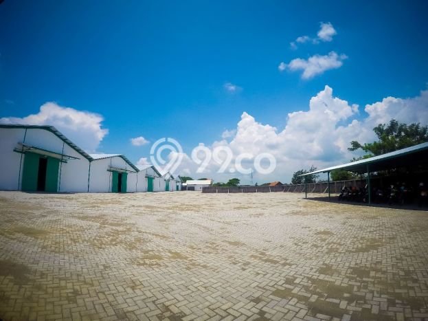 Gudang Usaha Dijual di Kertosono Nganjuk LT 13000m2 & LB 6500m2 Gudang Usaha Dijual di Kertosono Nganjuk LT 13000m2 & LB 6500m2