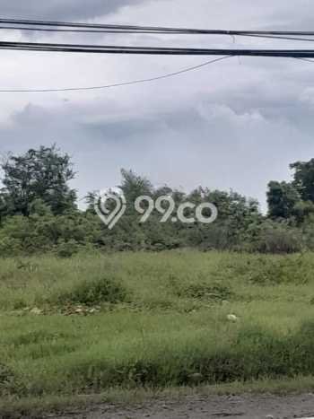 Tanah di Rembang, Pasuruan Luas 5996m2 Dijual Segera Tanah di Rembang, Pasuruan Luas 5996m2 Dijual Segera