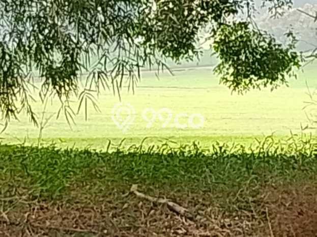 Tanah Dijual Lokasi Strategis di Bogor dengan Luas 84m2 Tanah Dijual Lokasi Strategis di Bogor dengan Luas 84m2