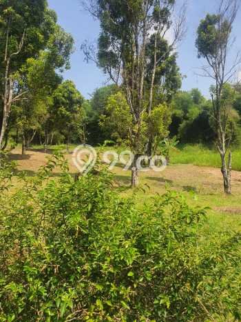 Tanah untuk Dijual Lokasi Bogor Selatan, Bogor Luas 34278m2 SHM Tanah untuk Dijual Lokasi Bogor Selatan, Bogor Luas 34278m2 SHM