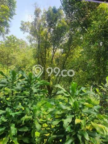 Tanah untuk Dijual Lokasi Bogor Selatan, Bogor Luas 34278m2 SHM Tanah untuk Dijual Lokasi Bogor Selatan, Bogor Luas 34278m2 SHM