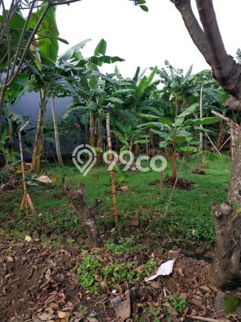 Tanah Dijual Lokasi Cinere, Depok Luas 284m2 Legalitas Aman Tanah Dijual Lokasi Cinere, Depok Luas 284m2 Legalitas Aman