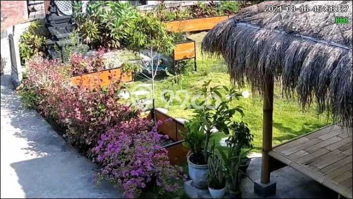 Jarang Ada! Rumah Kontrakan 2 Kamar Nyaman Siap Huni Sambangan Jarang Ada! Rumah Kontrakan 2 Kamar Nyaman Siap Huni Sambangan