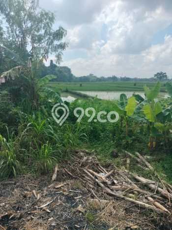 Tanah Dijual di Tabanan Seluas 210m2 Strategis Tanah Dijual di Tabanan Seluas 210m2 Strategis