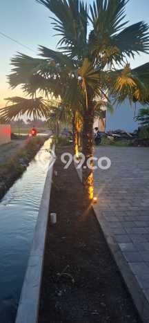 Rumah Mewah LB 225m2 Siap Pakai Desain Elegan di Canggu, Badung Rumah Mewah LB 225m2 Siap Pakai Desain Elegan di Canggu, Badung