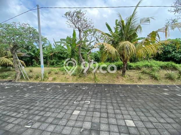 Lahan Investasi Lokasi Gianyar Gianyar SHM Lahan Investasi Lokasi Gianyar Gianyar SHM