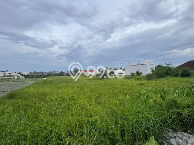 Lahan Dijual Lokasi Strategis di Badung dengan Luas 1000m2 Lahan Dijual Lokasi Strategis di Badung dengan Luas 1000m2