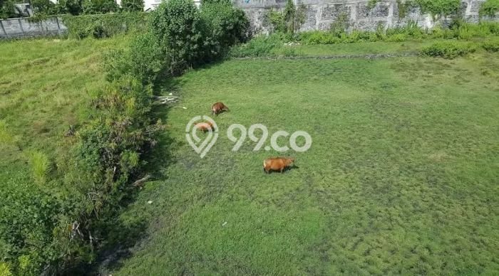 Tanah Dijual di Badung Seluas 4525m2 Strategis Tanah Dijual di Badung Seluas 4525m2 Strategis