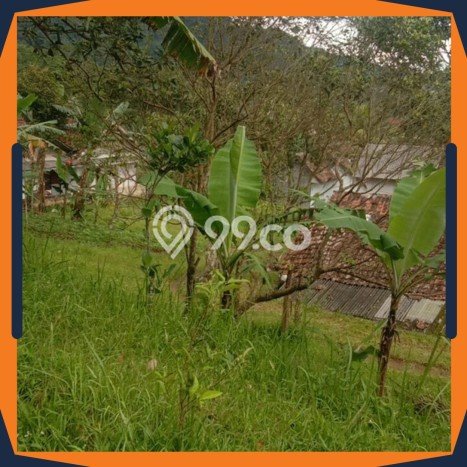 Lahan Investasi Lokasi Cigombong Bogor SHM Lahan Investasi Lokasi Cigombong Bogor SHM