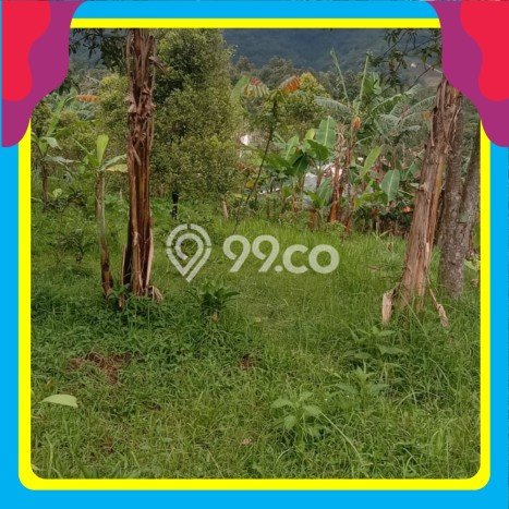 Lahan Investasi Lokasi Cigombong Bogor SHM Lahan Investasi Lokasi Cigombong Bogor SHM