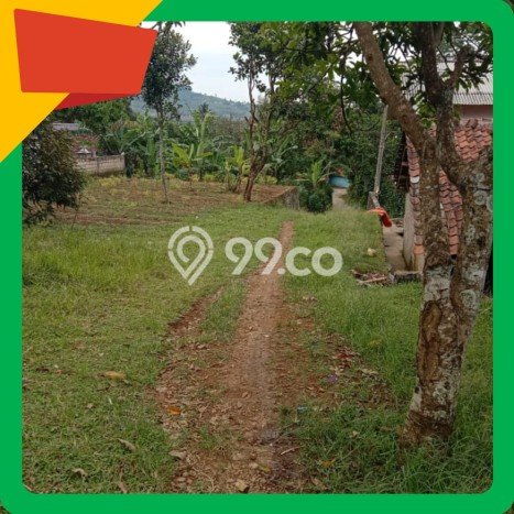 Lahan Investasi Lokasi Cigombong Bogor SHM Lahan Investasi Lokasi Cigombong Bogor SHM
