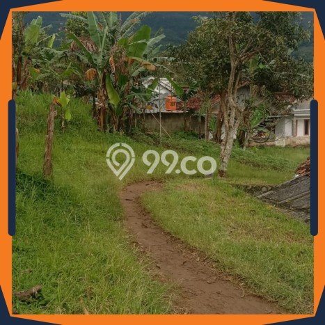 Lahan Investasi Lokasi Cigombong Bogor SHM Lahan Investasi Lokasi Cigombong Bogor SHM