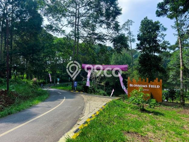 Lahan Strategis di Cipanas Dijual dengan Luas 120m2 Lahan Strategis di Cipanas Dijual dengan Luas 120m2
