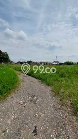 Jarang Ada! Tanah di Bojongsoang Punya Luas 3221m2 SHM Jarang Ada! Tanah di Bojongsoang Punya Luas 3221m2 SHM