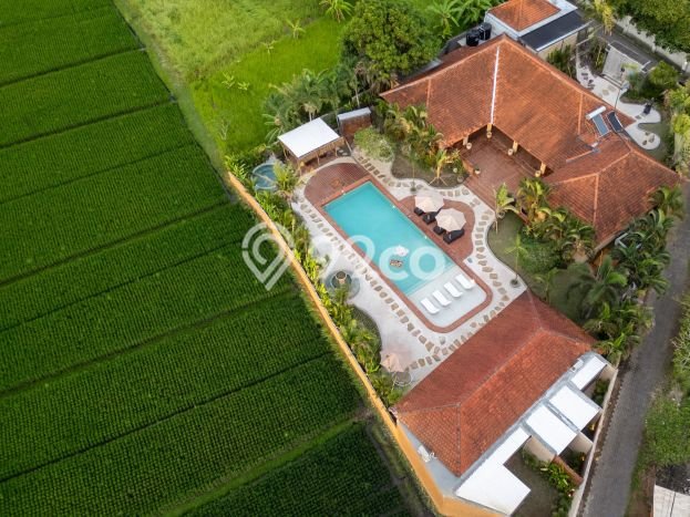 Rumah Dengan Harga Terbaik 5 Kamar Tidur Lokasi Strategis di Jantung Kota Kedungu, Tabanan Rumah Dengan Harga Terbaik 5 Kamar Tidur Lokasi Strategis di Jantung Kota Kedungu, Tabanan