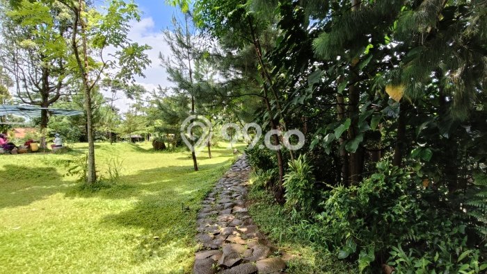 Komersial Dijual di Prime Area Bogor Luas 3000m2 Komersial Dijual di Prime Area Bogor Luas 3000m2
