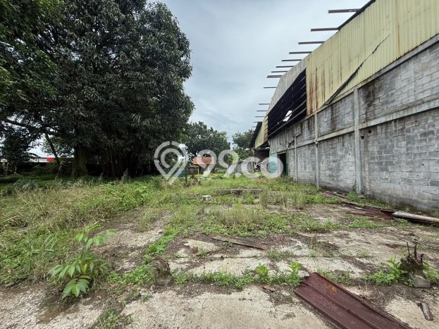 Gudang Dijual Lokasi Stratagis di Citeureup Bogor Cocok untuk Investasi Gudang Dijual Lokasi Stratagis di Citeureup Bogor Cocok untuk Investasi