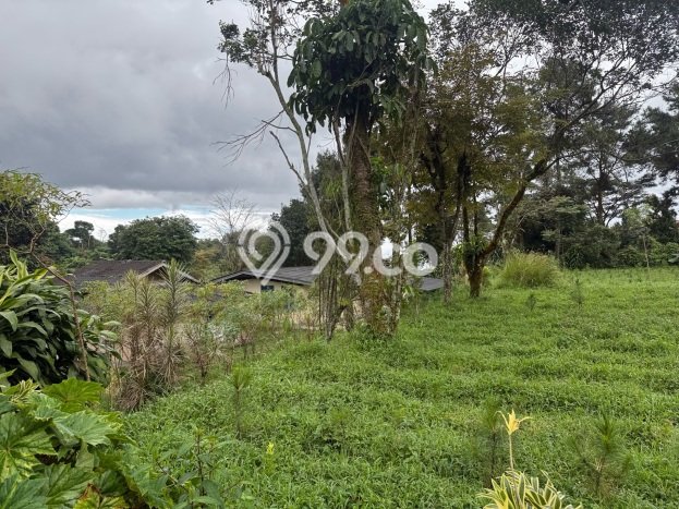 Kesempatan Langka! Vila Kawasan Pamijahan, Dimensi 9403m2m², Posisi Strategis akses ke beragam kebutuhan Kesempatan Langka! Vila Kawasan Pamijahan, Dimensi 9403m2m², Posisi Strategis akses ke beragam kebutuhan