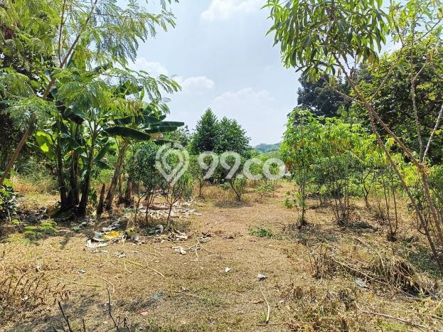 Tanah di Cibinong, Bogor Luas 4526m2 Dijual Segera Tanah di Cibinong, Bogor Luas 4526m2 Dijual Segera
