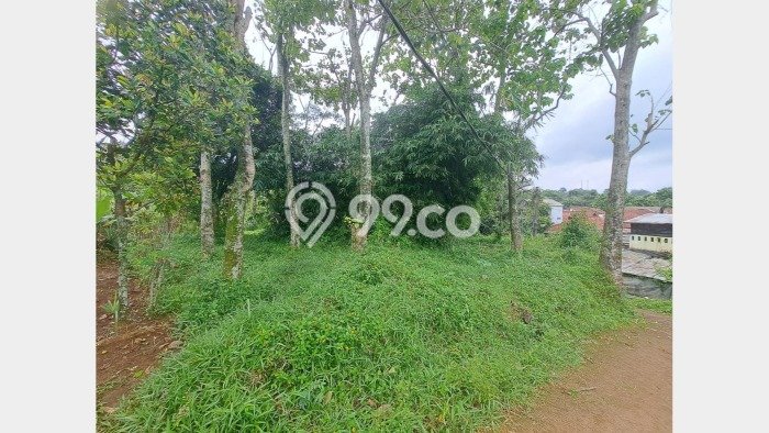 Kavling Tanah di Cijeruk Dijual Luas 1032m2 Legalitas SHM Kavling Tanah di Cijeruk Dijual Luas 1032m2 Legalitas SHM