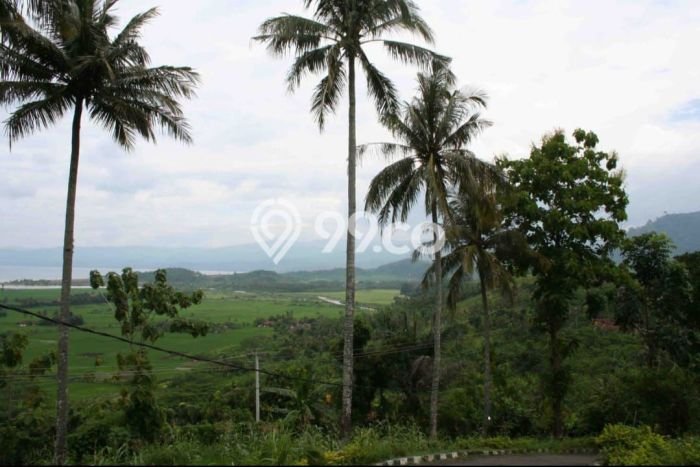 HARGA MENARIK! Tanah Kawasan , Luas 8820m2m², Lingkungan Nyaman, Bebas Banjir HARGA MENARIK! Tanah Kawasan , Luas 8820m2m², Lingkungan Nyaman, Bebas Banjir