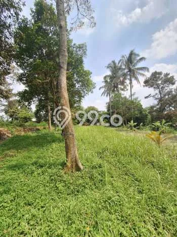 Tanah Kavling untuk Dijual di Parung Bogor 4580m2 Tanah Kavling untuk Dijual di Parung Bogor 4580m2
