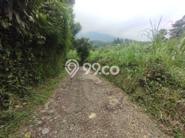 Tanah Kavling Dijual di Bogor dengan Spesifikasi 44111m2 Tanah Kavling Dijual di Bogor dengan Spesifikasi 44111m2