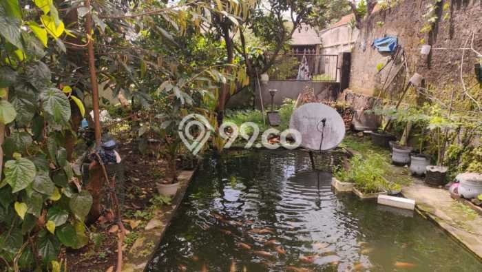 Rumah Luas Asri 4 KT Siap Huni di Ciapus Bogor Rumah Luas Asri 4 KT Siap Huni di Ciapus Bogor