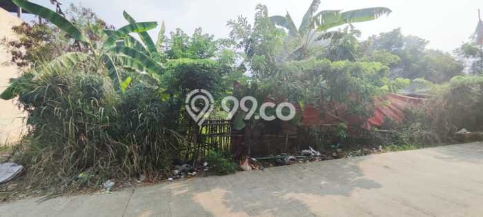 Tanah Investasi Dijual di Bogor Punya Luas 300m2 Tanah Investasi Dijual di Bogor Punya Luas 300m2