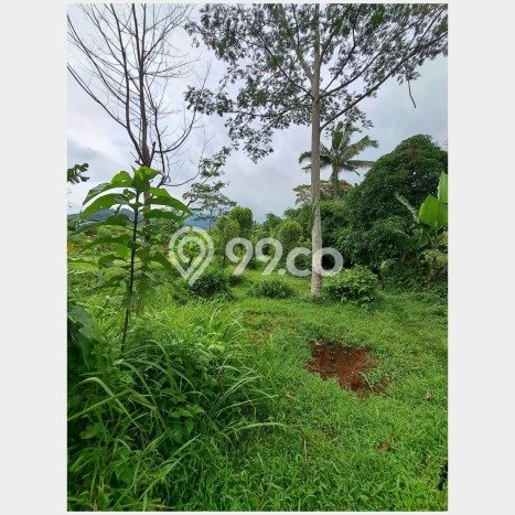Kavling Tanah di Cijeruk Dijual Luas 1032m2 Legalitas SHM Kavling Tanah di Cijeruk Dijual Luas 1032m2 Legalitas SHM