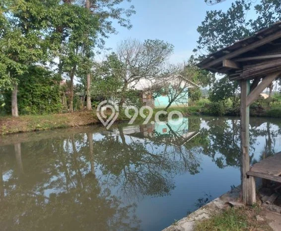 Lahan untuk Dijual Lokasi Ciranjang, Cianjur Luas 2709m2 SHM Lahan untuk Dijual Lokasi Ciranjang, Cianjur Luas 2709m2 SHM