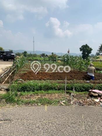 Untuk Dijual Tanah di Cipanas Cianjur Luas 1183m2 SHM Untuk Dijual Tanah di Cipanas Cianjur Luas 1183m2 SHM
