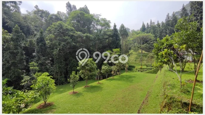 Tanah untuk Dijual Lokasi Tapos, Depok Luas 7000m2 SHM Tanah untuk Dijual Lokasi Tapos, Depok Luas 7000m2 SHM