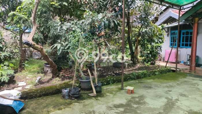 Rumah Luas Asri 4 KT Siap Huni di Ciapus Bogor Rumah Luas Asri 4 KT Siap Huni di Ciapus Bogor