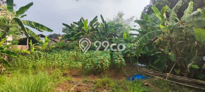 Tanah Investasi Dijual di Bogor Punya Luas 300m2 Tanah Investasi Dijual di Bogor Punya Luas 300m2