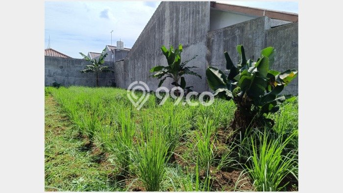 Lahan Dijual Lokasi Strategis di Bogor dengan Luas 300m2 Lahan Dijual Lokasi Strategis di Bogor dengan Luas 300m2