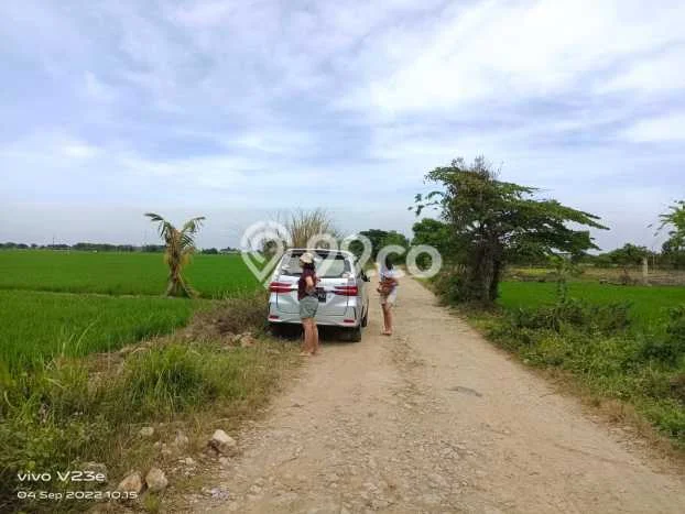 Tanah Dijual Lokasi Karawang Barat, Karawang Luas 3815m2 Legalitas Aman Tanah Dijual Lokasi Karawang Barat, Karawang Luas 3815m2 Legalitas Aman