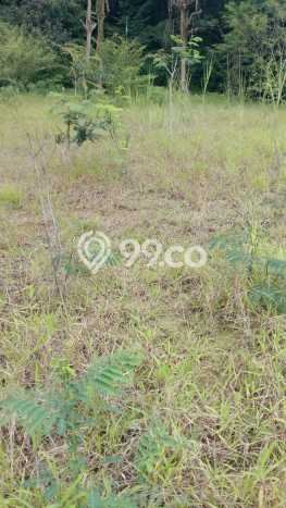 Vila Berkembang di , Area 6248m2m², Dekat mudah Bogor, Bogor Vila Berkembang di , Area 6248m2m², Dekat mudah Bogor, Bogor