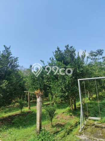 AREA PREMIUM! Vila Kawasan Subang, Dimensi 8192m2m², Dekat fasilitas umum AREA PREMIUM! Vila Kawasan Subang, Dimensi 8192m2m², Dekat fasilitas umum