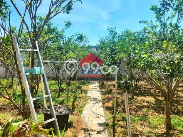 Tanah Dijual Lokasi Dau, Malang Luas 337m2 Legalitas Aman Tanah Dijual Lokasi Dau, Malang Luas 337m2 Legalitas Aman