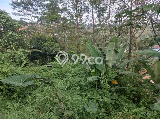 Dijual Tanah Lokasi Setiabudi, Bandung Seluas 112m2 Dijual Tanah Lokasi Setiabudi, Bandung Seluas 112m2