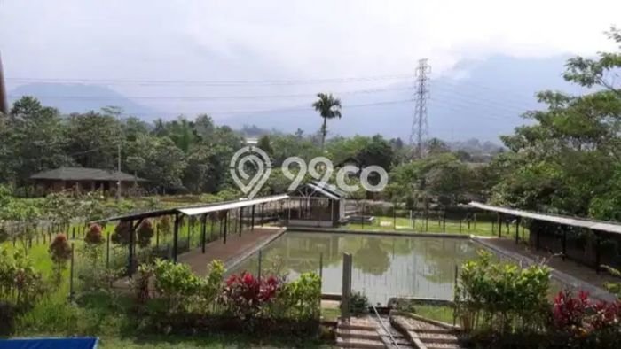 Untuk Dijual Komersial di Caringin, Sukabumi Harga Penawaran Spesial Untuk Dijual Komersial di Caringin, Sukabumi Harga Penawaran Spesial