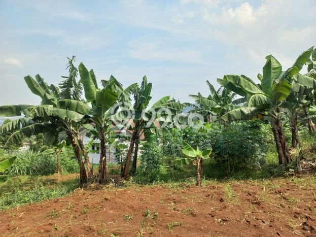 Tanah Dijual di Bandung Seluas 1000m2 Strategis Tanah Dijual di Bandung Seluas 1000m2 Strategis