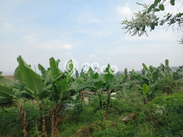 Tanah Dijual di Bandung Seluas 1000m2 Strategis Tanah Dijual di Bandung Seluas 1000m2 Strategis